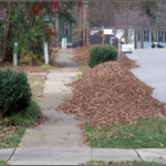 Place Leaves to the Curb